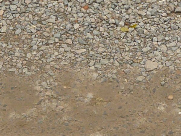 Texture of wet road with mixed, dirt and gravel surface and vegetation at boarders.